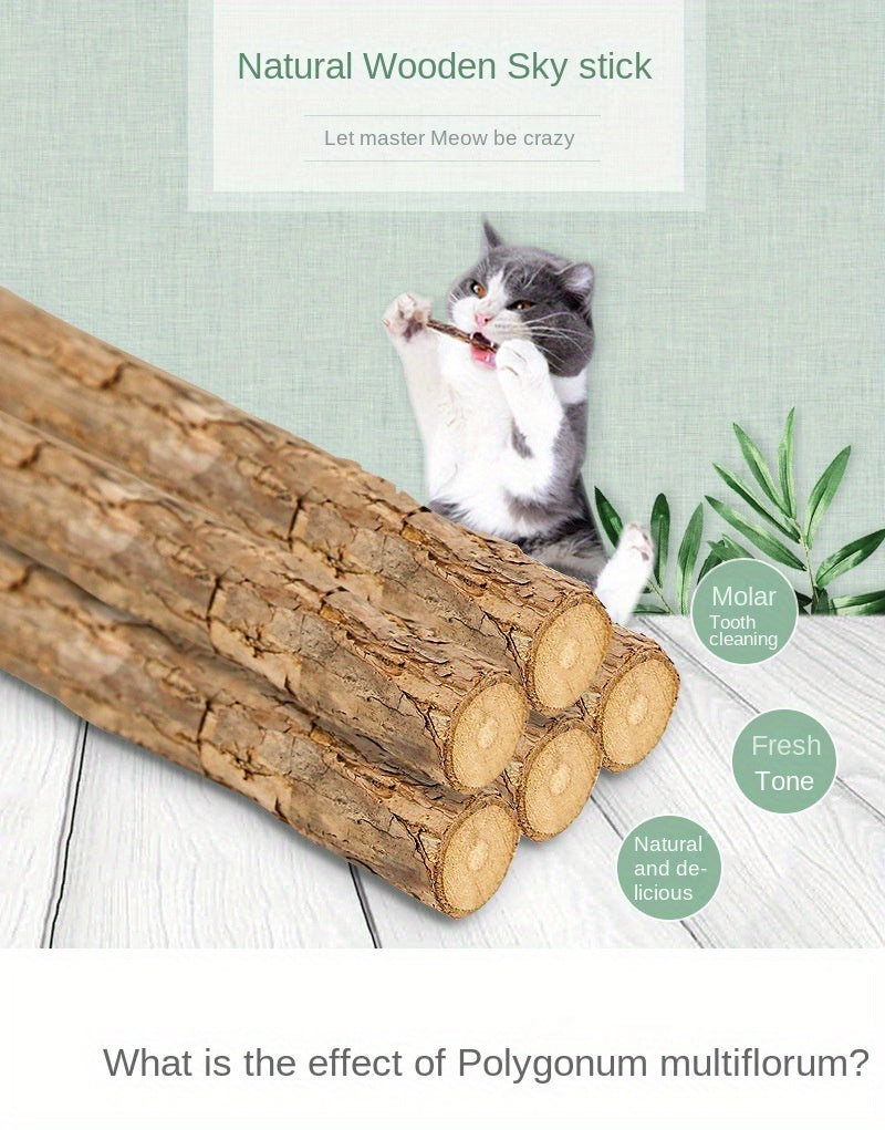 All Natural Matatabi Cat Dental Chew Sticks (5pcs)