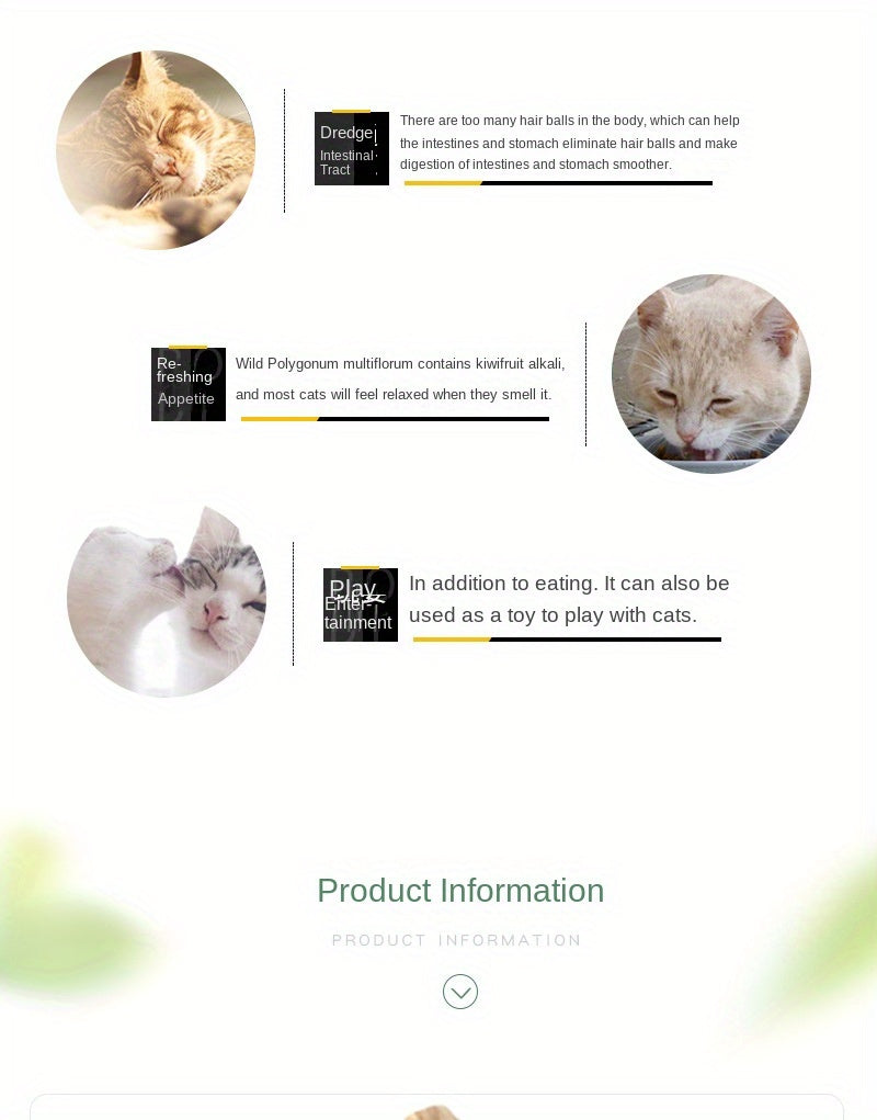 All Natural Matatabi Cat Dental Chew Sticks (5pcs)