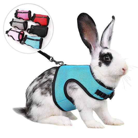 Tiny Companion Harness