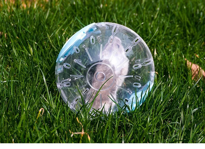 Pet Explorer Bubble Ball