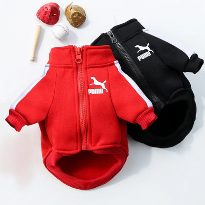 Pomii ActivePaws Jacket