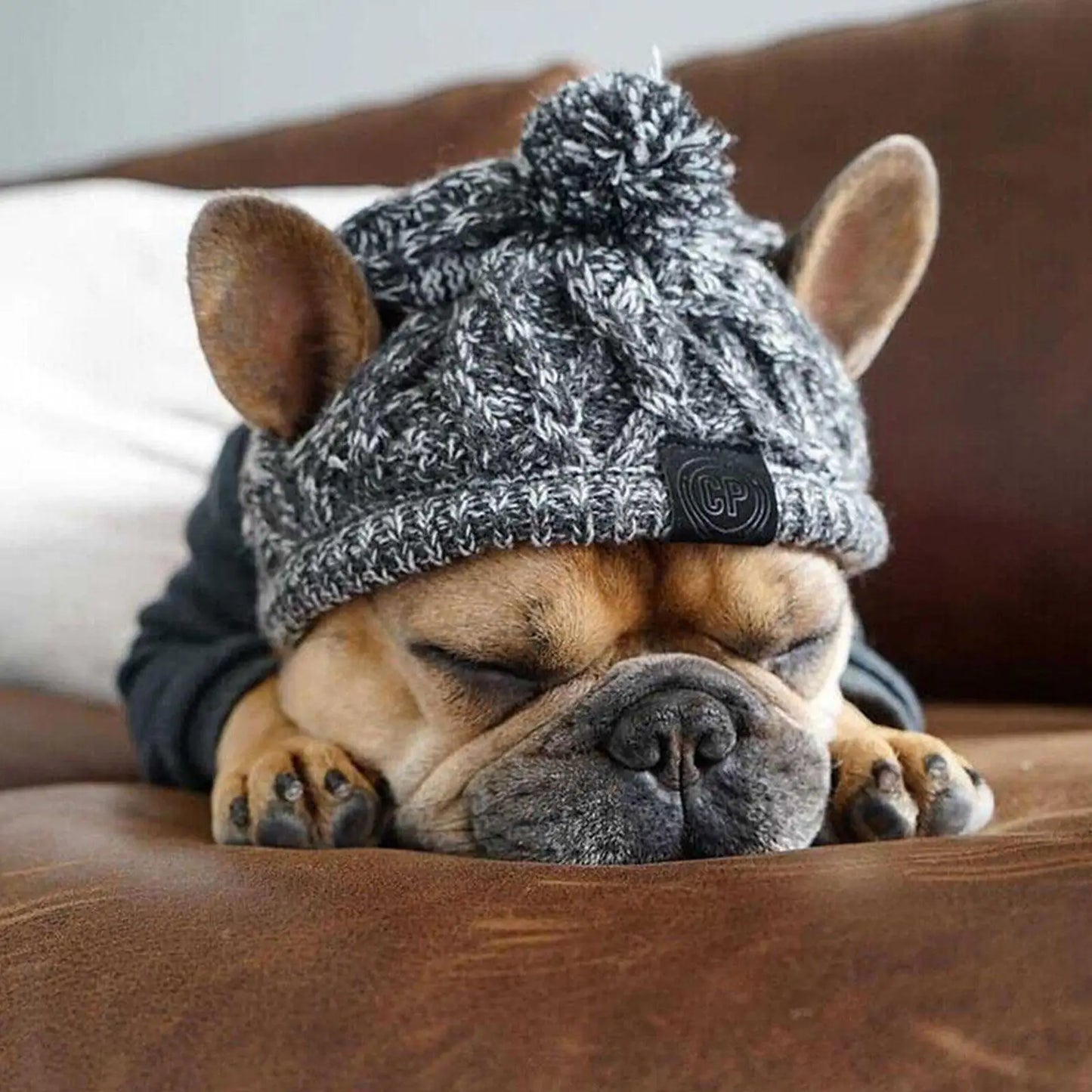 Puppy Beanie