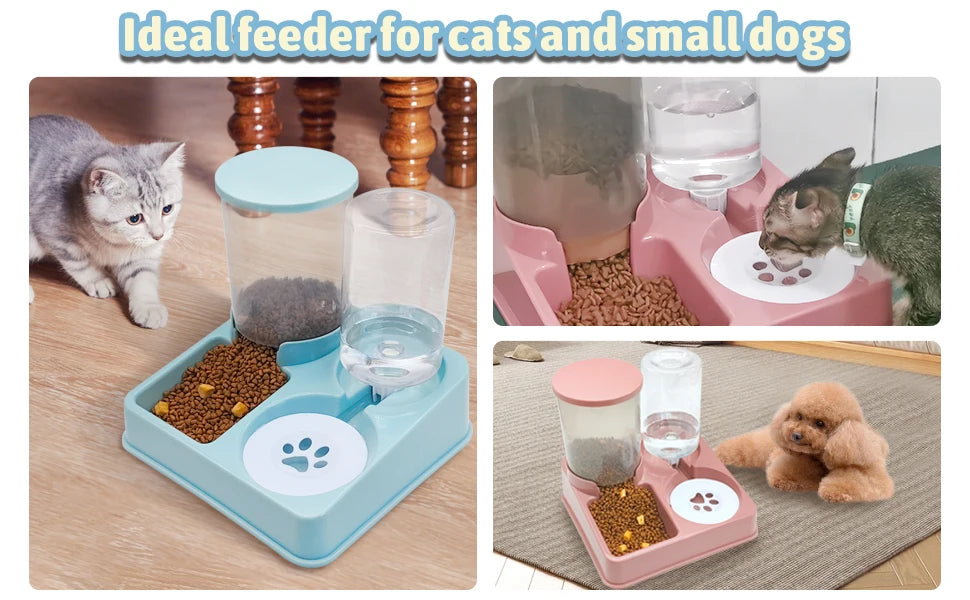 Pawsome 2-in-1 Tilted Feeder & Waterer Set