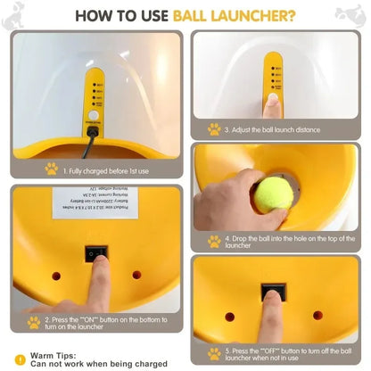 Automatic Ball Launcher