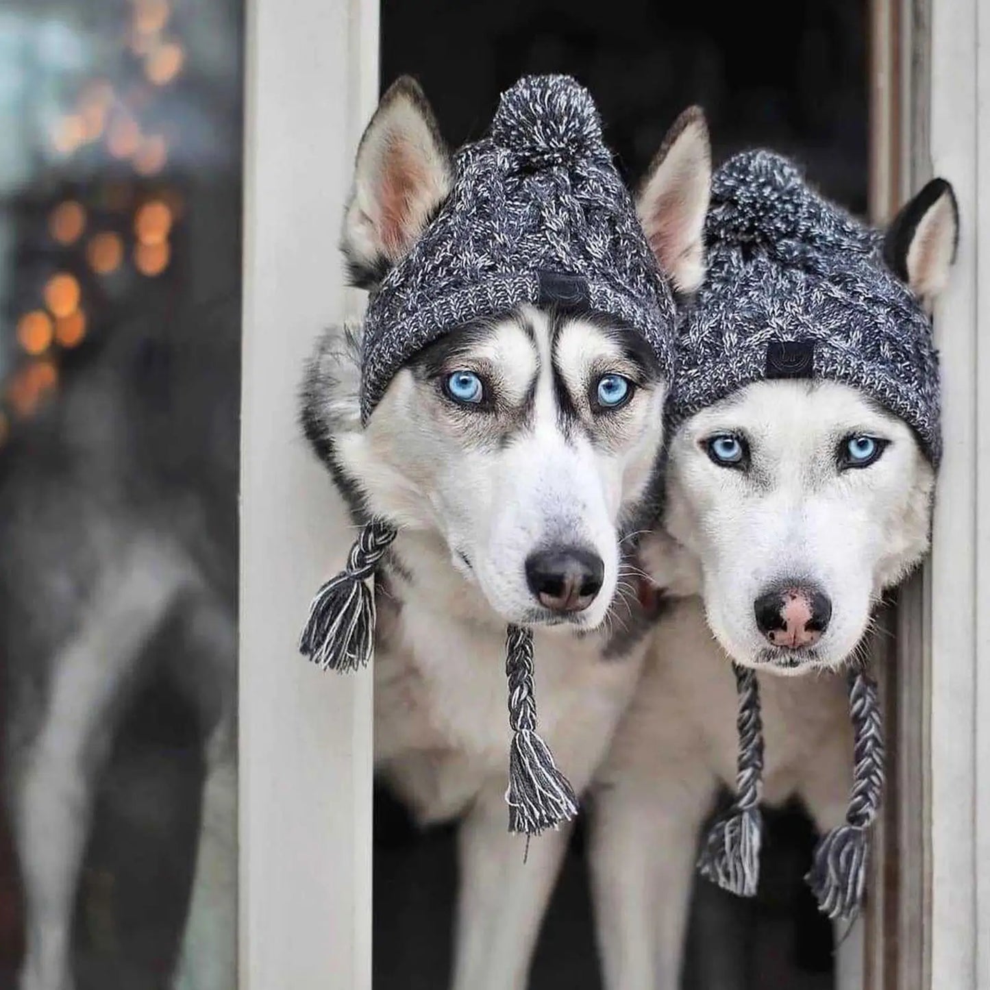 Puppy Beanie