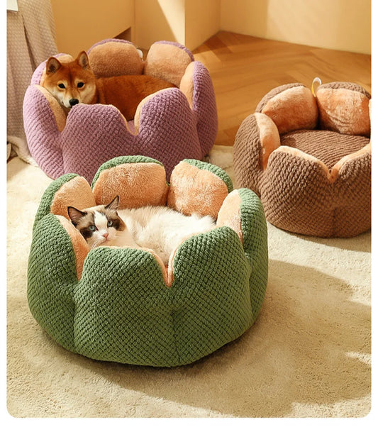 "Cozy Cactus" Bed